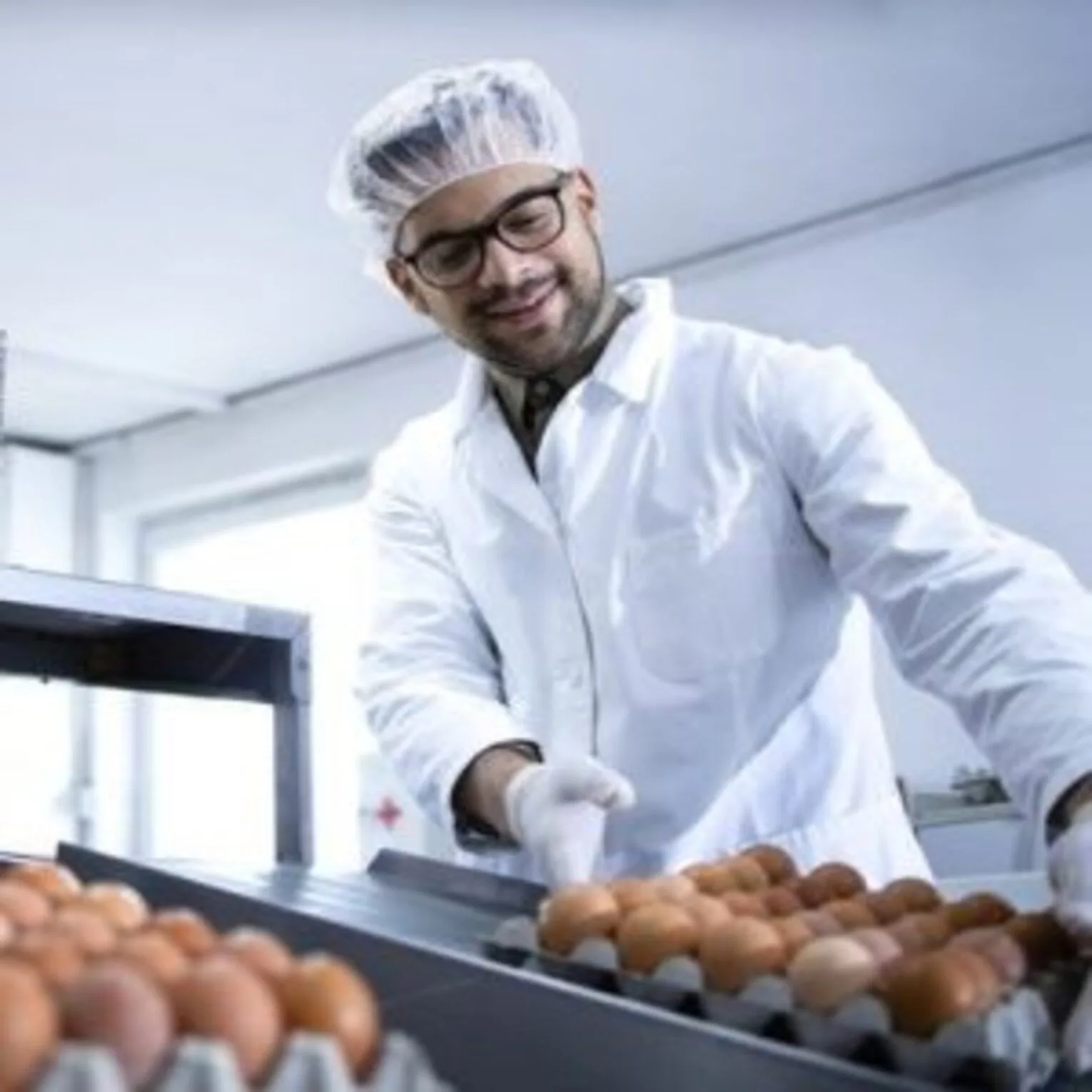 Agroalimentaire